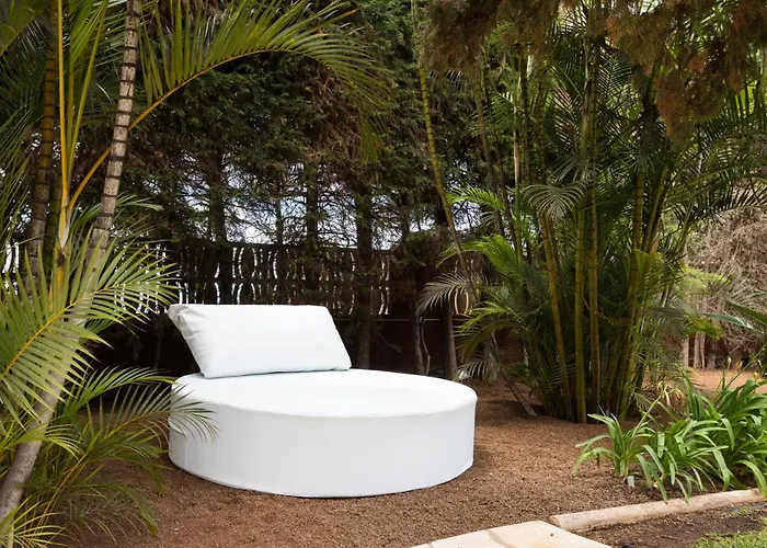 San Benito. Vivienda De Lujo Con Piscina Privada