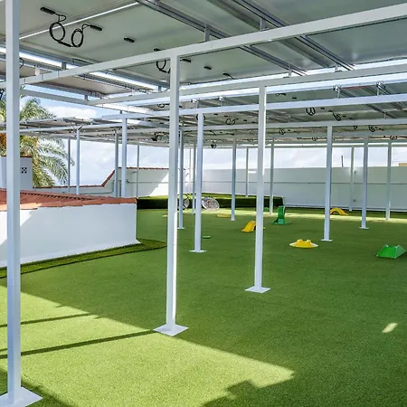 ヴィラ San Benito. Vivienda De Lujo Con Piscina Privada ロス・レアレホス
